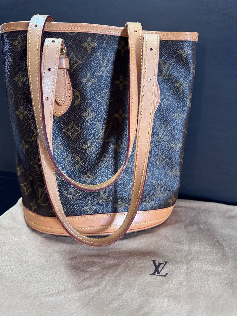 Louis Vuitton Monogram Canvas Brown & Natural Leather Bucket Bag PM